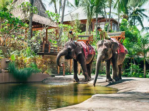 Elephant Sanctuary Bali